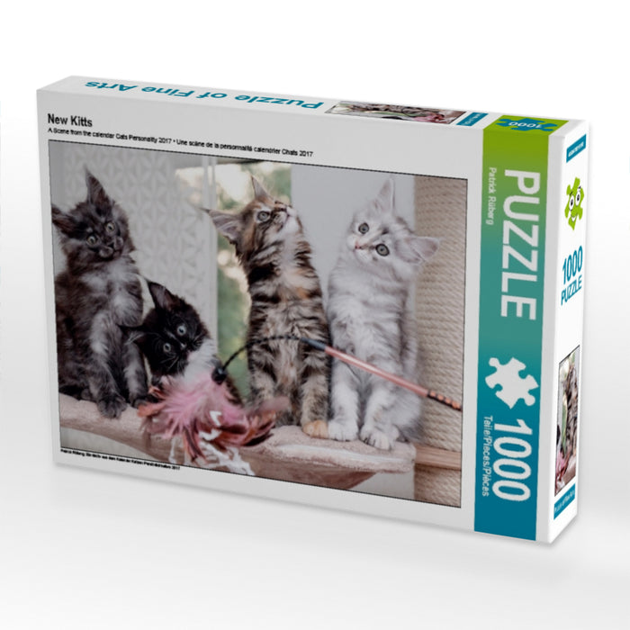 New Kitts 2000 Teile Puzzle quer - CALVENDO Foto-Puzzle'