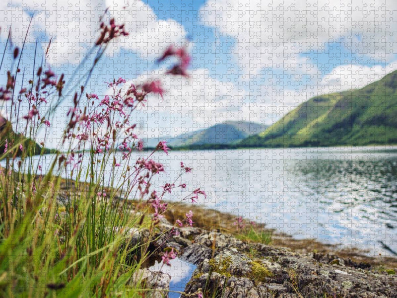 Wildblumen aus dem Norden Schottlands - CALVENDO Foto-Puzzle'