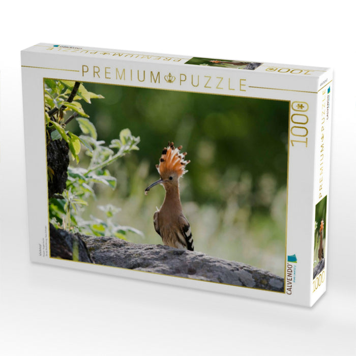 Wiedehopf - CALVENDO Foto-Puzzle'