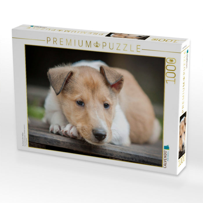 Kurzhaarcollie-Welpe - CALVENDO Foto-Puzzle'