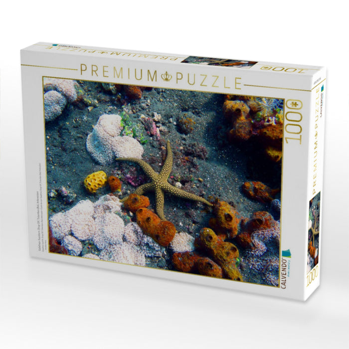 Galathea-Seestern, Drop Off, Tulamben,Bali, Indonesien - CALVENDO Foto-Puzzle'