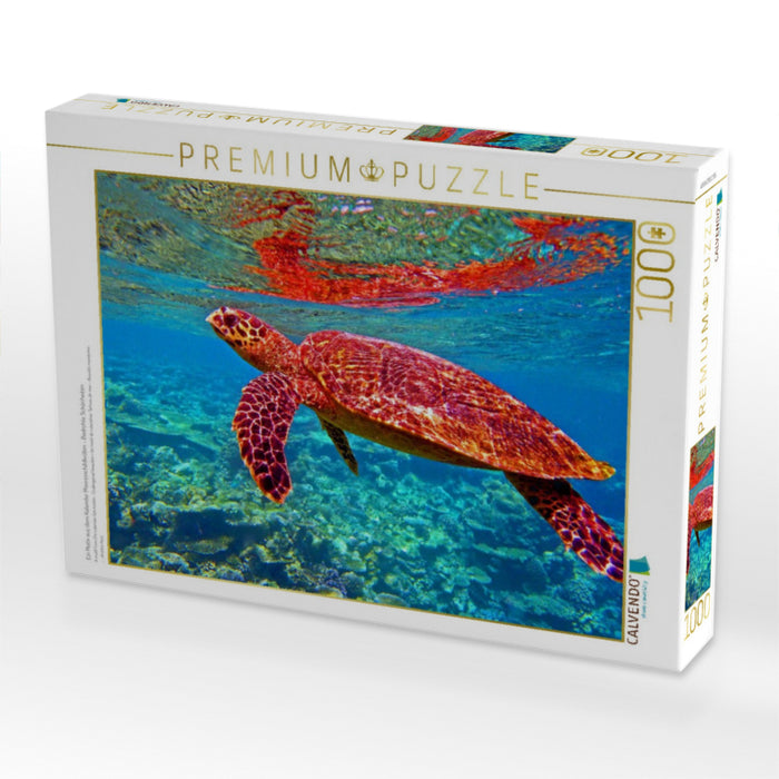 Ein Motiv aus dem Kalender Meeresschildkröten - Bedrohte Schönheiten - CALVENDO Foto-Puzzle'