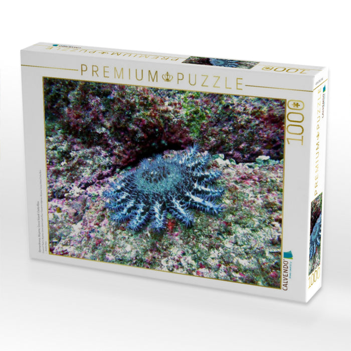 Dornenkrone, Alcyone, Cocos Island, Costa Rica - CALVENDO Foto-Puzzle'