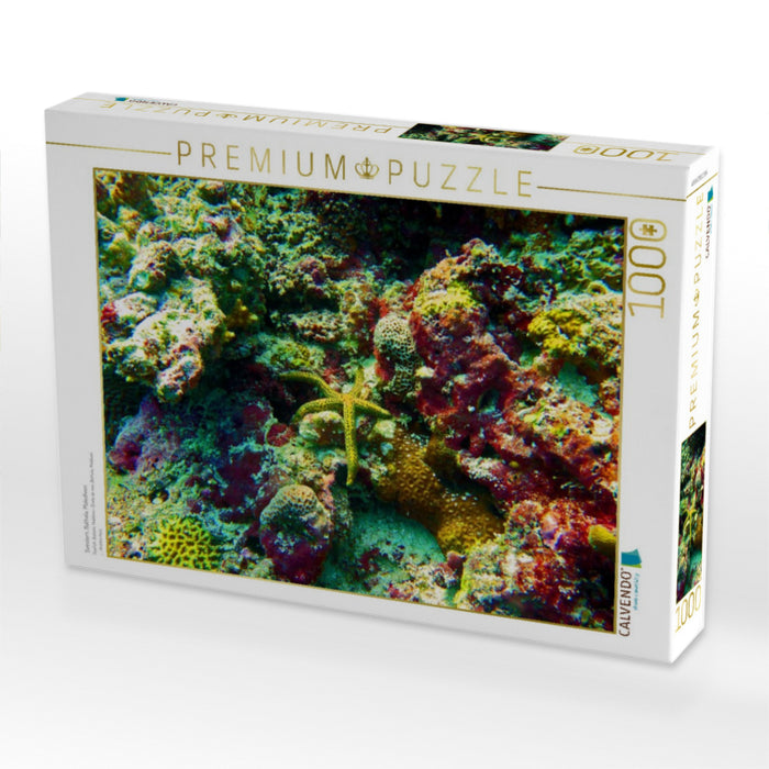 Seestern, Bathala, Malediven - CALVENDO Foto-Puzzle'