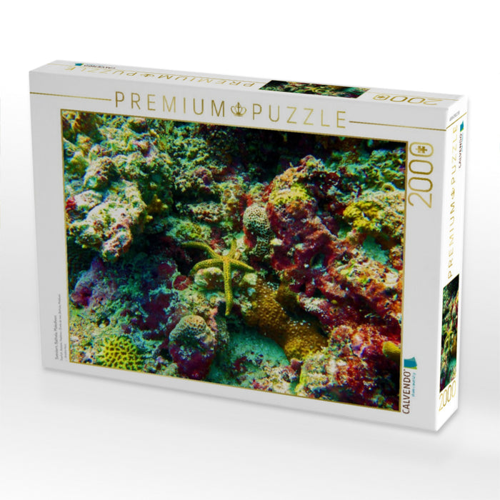 Seestern, Bathala, Malediven - CALVENDO Foto-Puzzle'