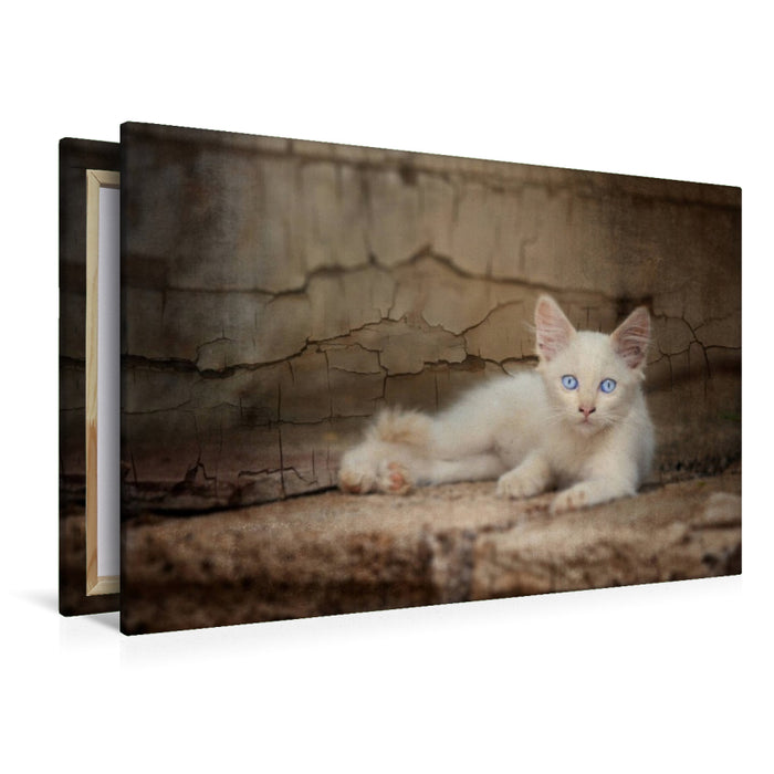 Premium Textil-Leinwand Golum