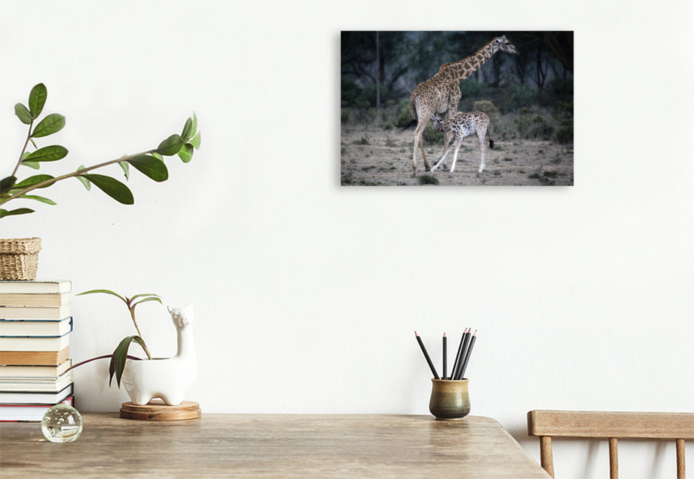 Toile textile premium Toile textile premium 120 cm x 80 cm paysage Girafe mère avec enfant 