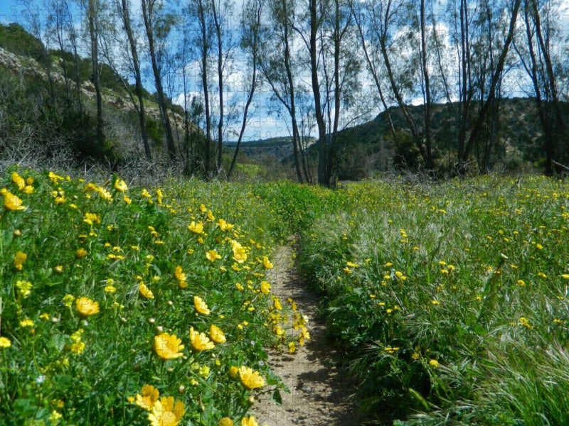 Frühling auf Zypern - CALVENDO Foto-Puzzle'