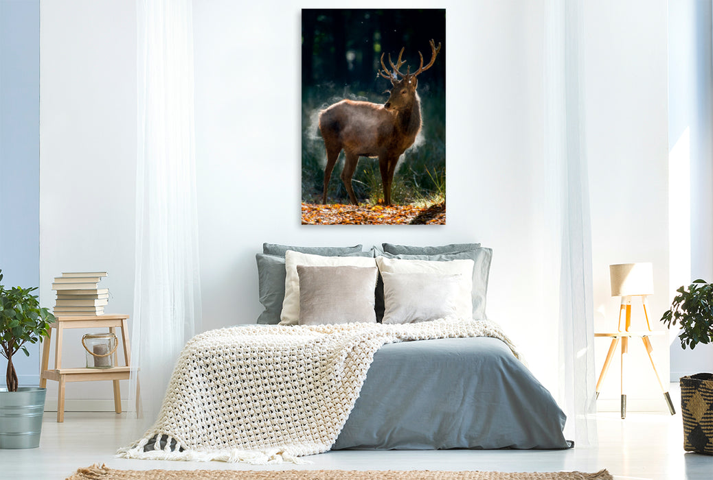 Premium Textil-Leinwand Premium Textil-Leinwand 80 cm x 120 cm  hoch Der junge Hirsch schüttelt die Herbstfeuchte aus dem Fell.