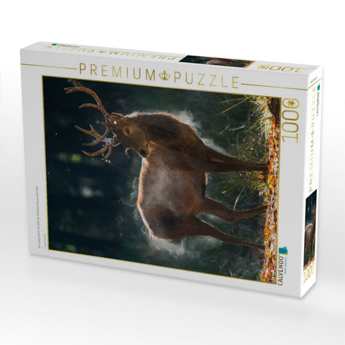 Der junge Hirsch schüttelt die Herbstfeuchte aus dem Fell. - CALVENDO Foto-Puzzle'