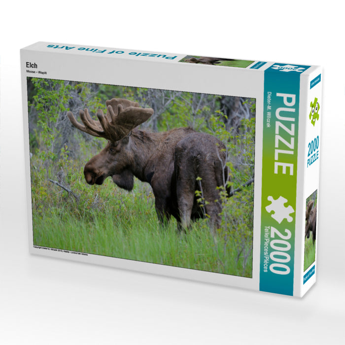 Elch 2000 Teile Puzzle quer - CALVENDO Foto-Puzzle'