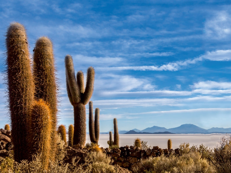 Bolivia - Unique landscape - CALVENDO photo puzzle 