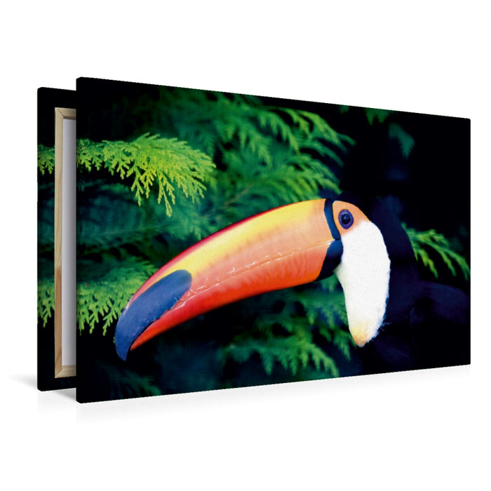 Toile textile premium Toile textile premium 120 cm x 80 cm paysage Le toucan 