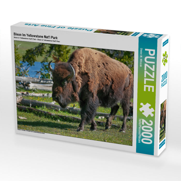 Bison in Yellowstone Nat'l Park - CALVENDO photo puzzle 