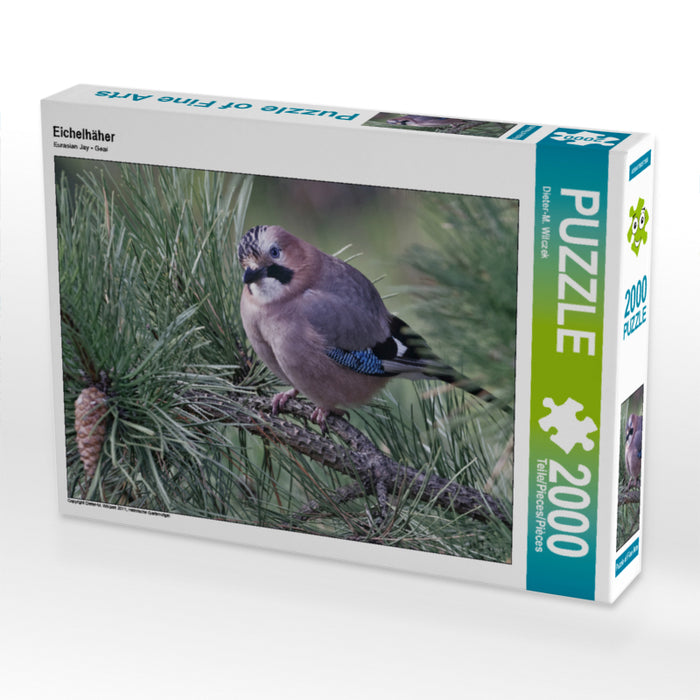 Eichelhäher 2000 Teile Puzzle quer - CALVENDO Foto-Puzzle'
