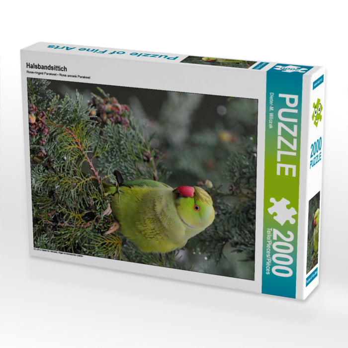 Halsbandsittich 2000 Teile Puzzle hoch - CALVENDO Foto-Puzzle'