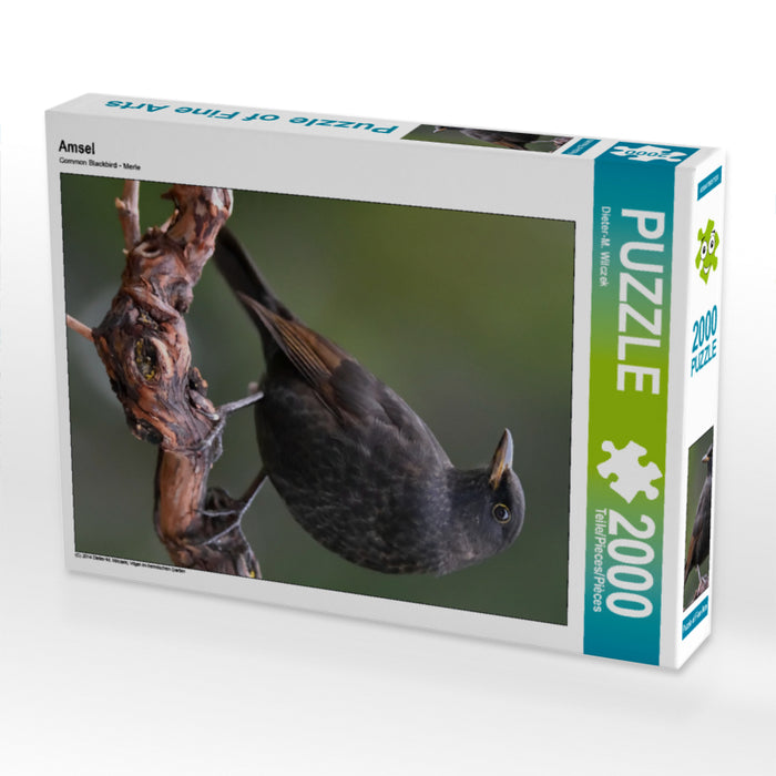 Blackbird - CALVENDO photo puzzle 