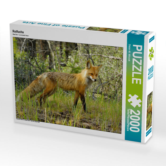 Rotfuchs 2000 Teile Puzzle quer - CALVENDO Foto-Puzzle'