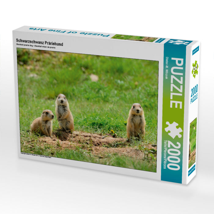 Black-tailed Prairie Dog - CALVENDO photo puzzle 