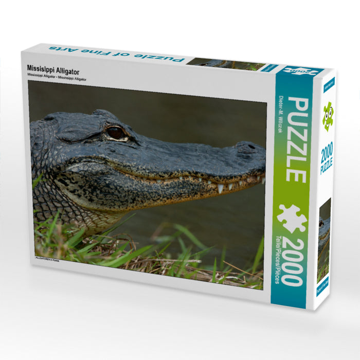 Missisippi Alligator 2000 Teile Puzzle quer - CALVENDO Foto-Puzzle'