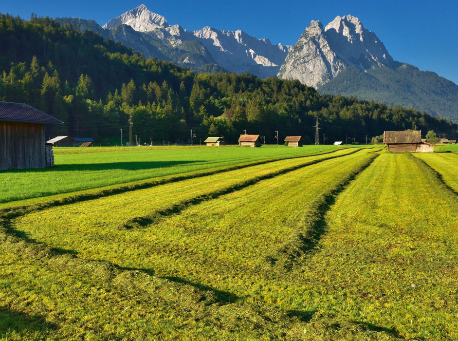 Prairies avec vue sur la Zugspitze - Puzzle photo CALVENDO