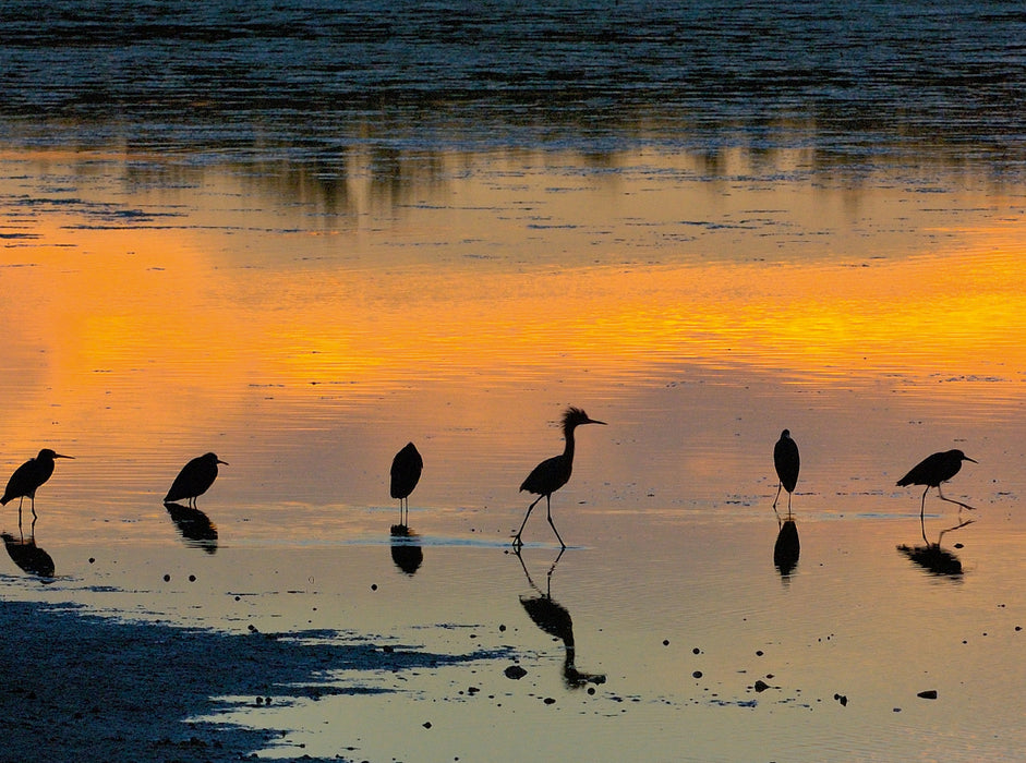 Florida Sunset - CALVENDO photo puzzle 