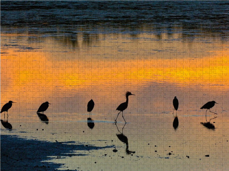 Florida Sunset - CALVENDO photo puzzle 