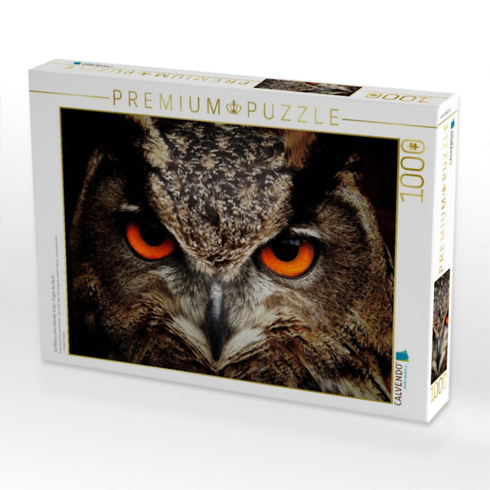 Ein Bild aus dem Kalender Eulen • Augen der Nacht - CALVENDO Foto-Puzzle'
