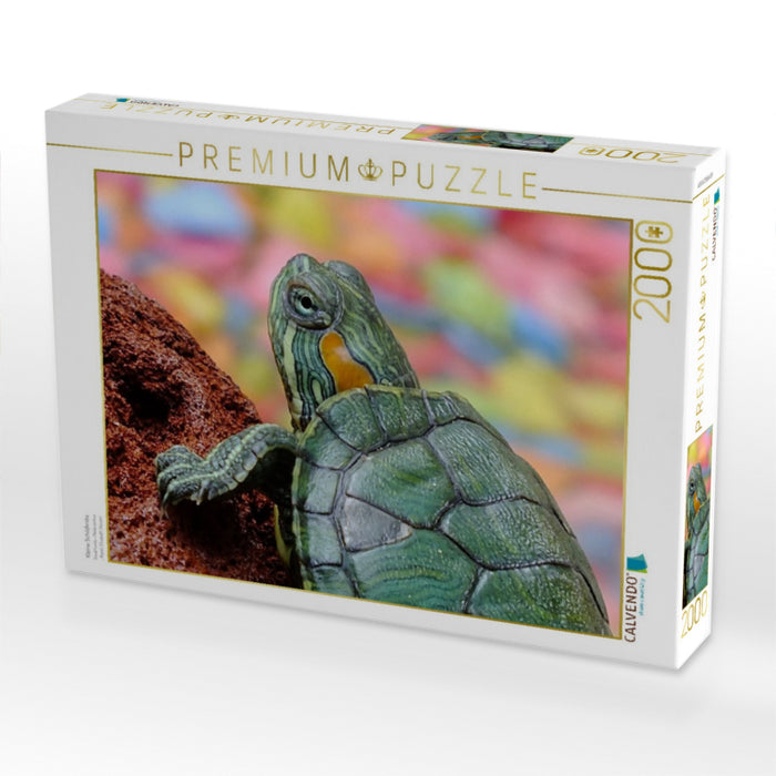 Kleine Schildkröte - CALVENDO Foto-Puzzle'