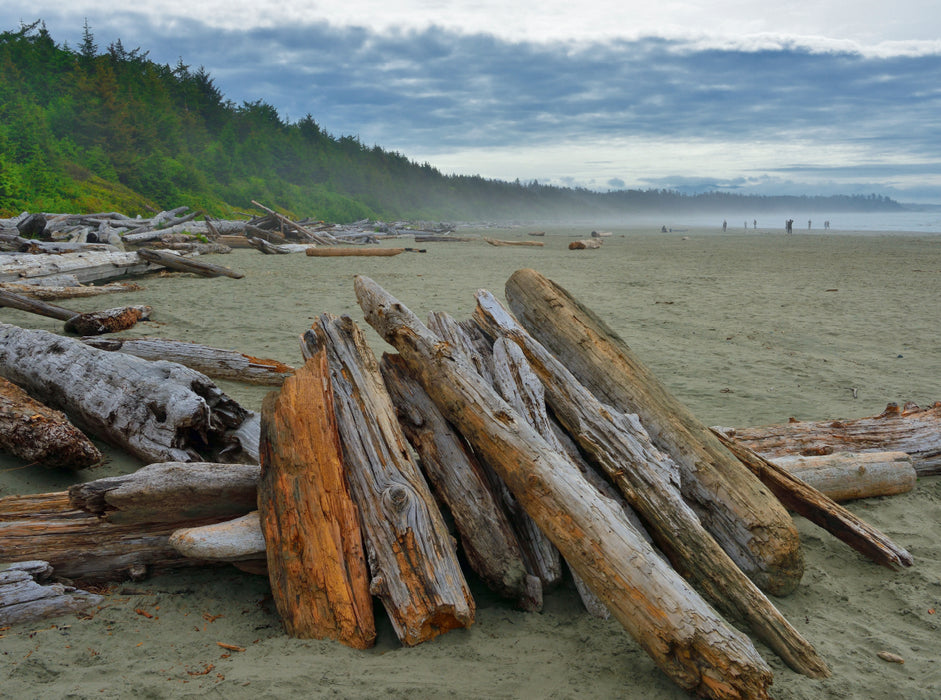 Pacific Rim, Long Beach excursion paradise - CALVENDO photo puzzle 
