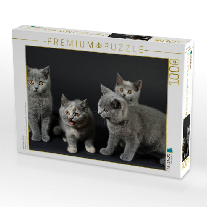 Kleine Briten Bärchen - CALVENDO Foto-Puzzle'