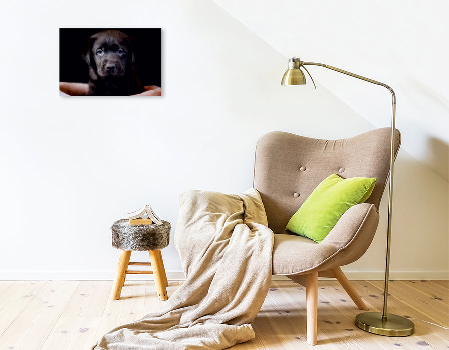 Premium Textil-Leinwand Labrador Welpe
