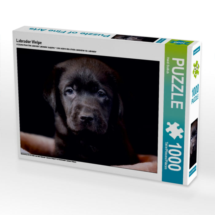Labrador Welpe 1000 Teile Puzzle quer - CALVENDO Foto-Puzzle'