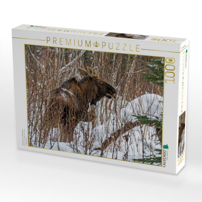 Fressen um zu Überleben - CALVENDO Foto-Puzzle'