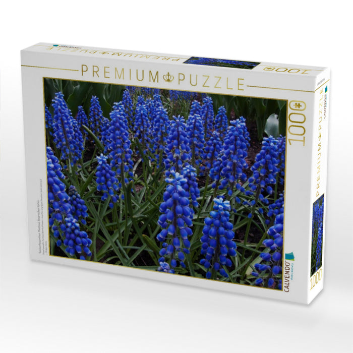 Traubenhyazinthen. Montreal, Botanischer Garten - CALVENDO Foto-Puzzle'