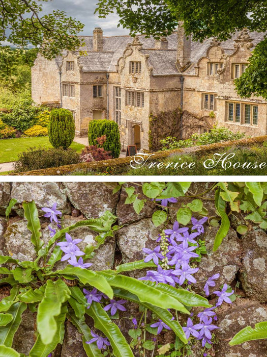 Garten und Herrenhaus Trerice House in Cornwall, England - CALVENDO Foto-Puzzle'