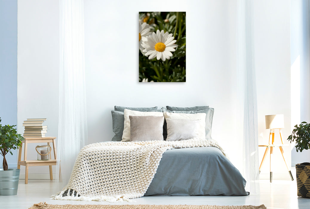 Toile textile premium Toile textile premium 80 cm x 120 cm de haut fleur de marguerite 