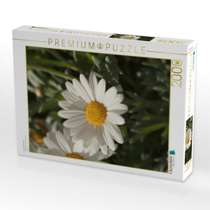 margeriten blüte - CALVENDO Foto-Puzzle'