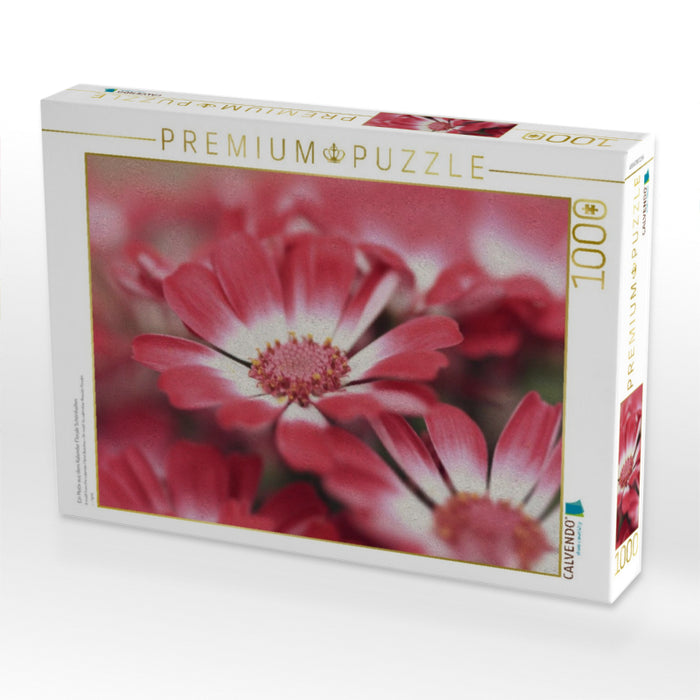 Ein Motiv aus dem Kalender Florale Schönheiten - CALVENDO Foto-Puzzle'