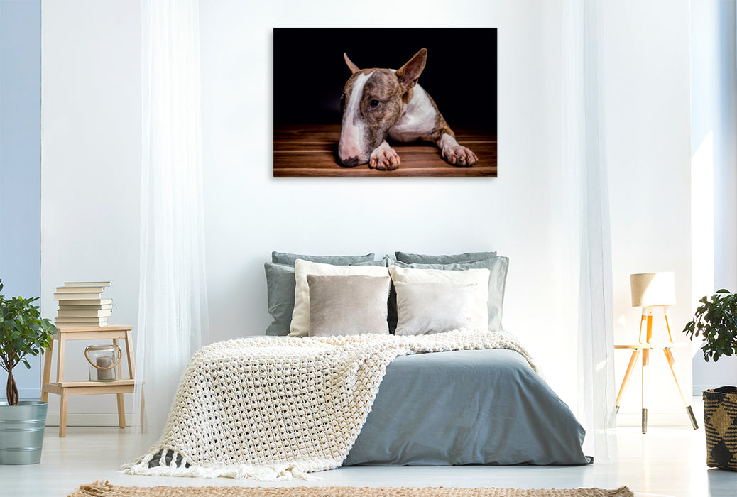 Toile textile premium Toile textile premium 120 cm x 80 cm paysage Un motif du calendrier Bull Terrier 