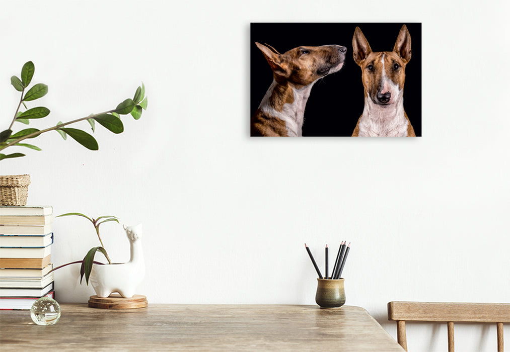 Premium Textil-Leinwand Premium Textil-Leinwand 120 cm x 80 cm quer Ein Motiv aus dem Kalender Bullterrier