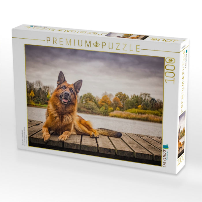 Deutscher Schäferhund - CALVENDO Foto-Puzzle'