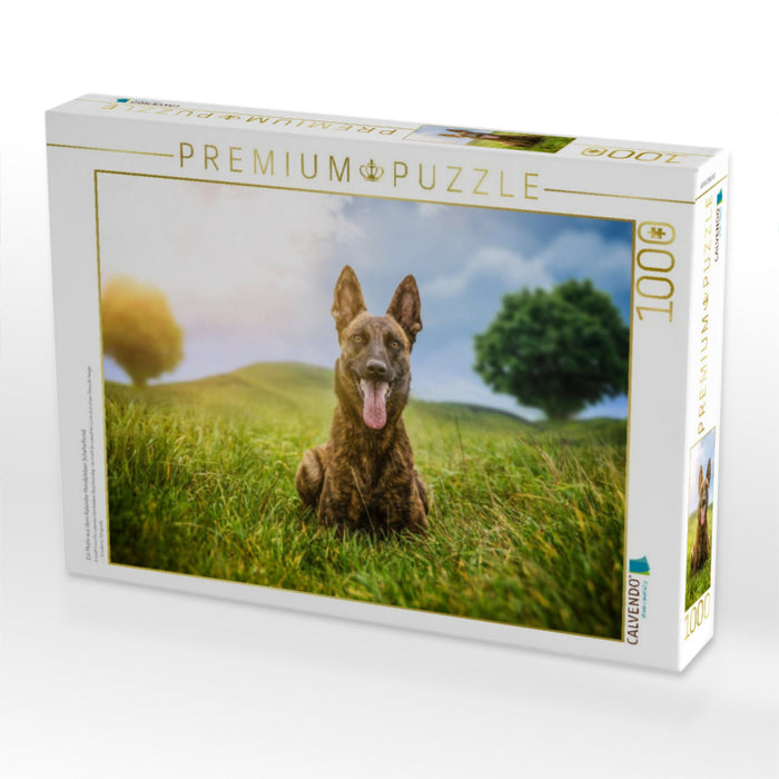 Ein Motiv aus dem Kalender Hundeleben Schäferhund - CALVENDO Foto-Puzzle'