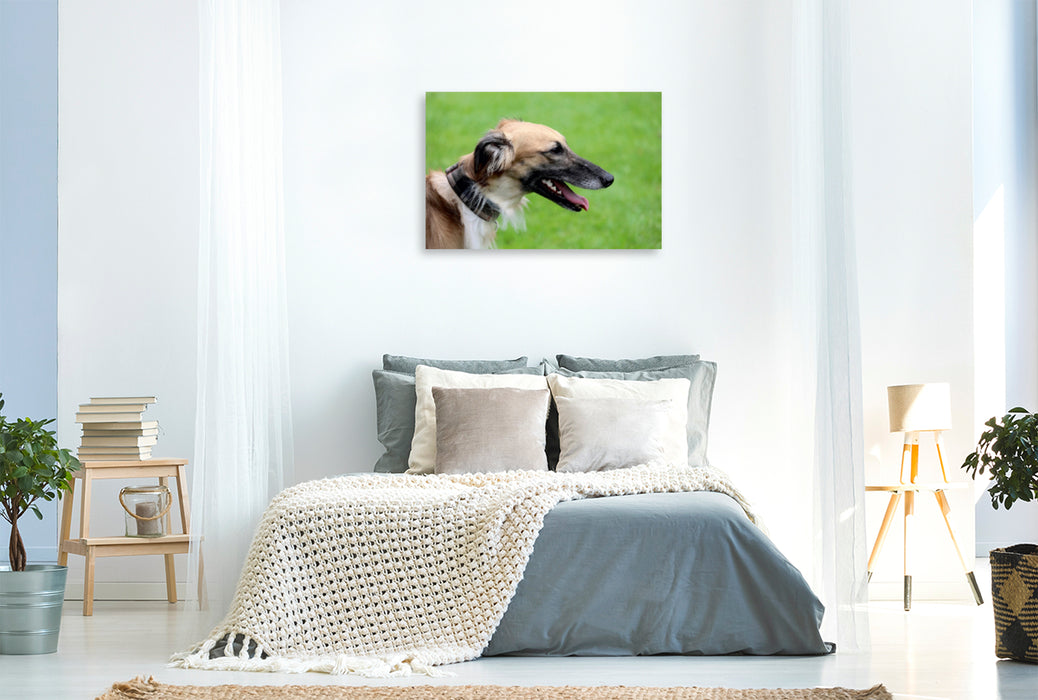 Toile textile premium Toile textile premium 120 cm x 80 cm paysage Idées dans une tête de chien 