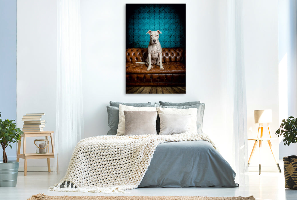 Premium Textil-Leinwand Premium Textil-Leinwand 80 cm x 120 cm  hoch Ein Motiv aus dem Kalender DOGO ARGENTINO