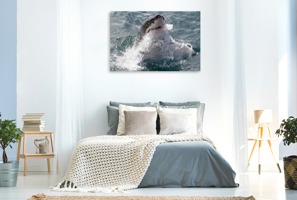 Toile textile haut de gamme Toile textile haut de gamme 120 cm x 80 cm paysage Grand requin blanc, Dyker Island, Afrique du Sud 