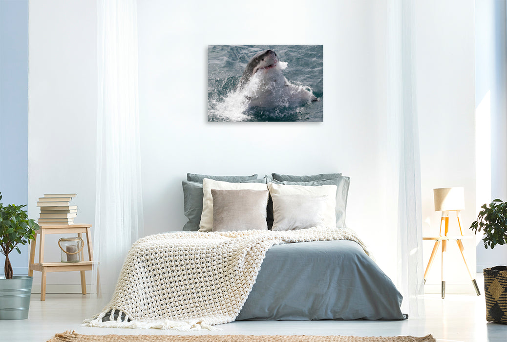 Toile textile haut de gamme Toile textile haut de gamme 120 cm x 80 cm paysage Grand requin blanc, Dyker Island, Afrique du Sud 