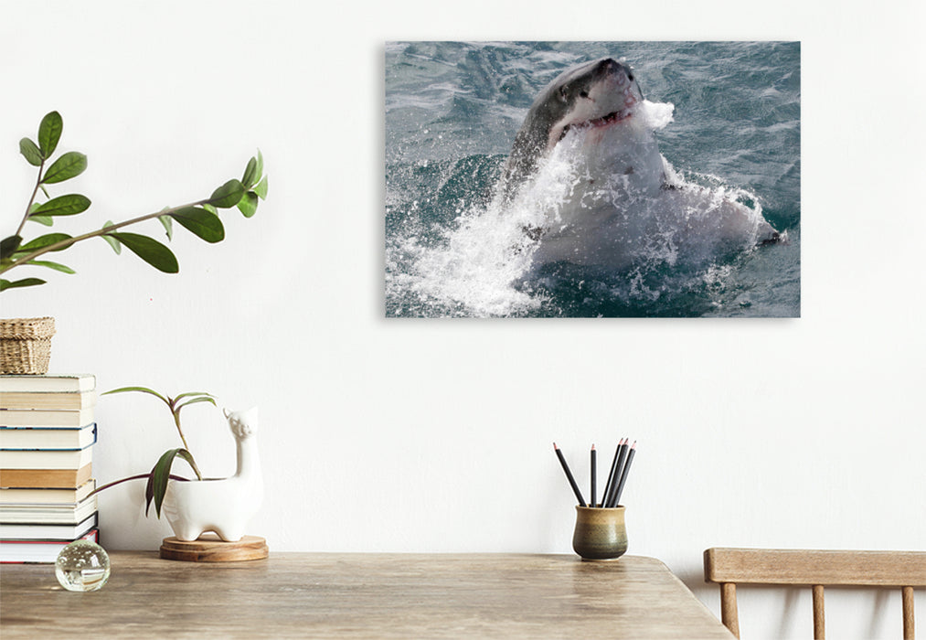 Toile textile haut de gamme Toile textile haut de gamme 120 cm x 80 cm paysage Grand requin blanc, Dyker Island, Afrique du Sud 