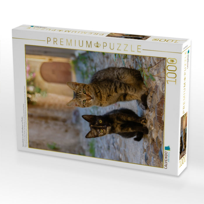 Katzenkinder in einer Altstadtgasse von Rhodos - CALVENDO Foto-Puzzle'
