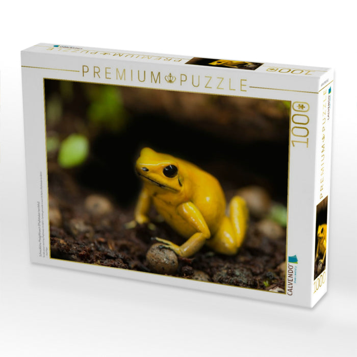 Schreckliche Pfeilgiftfrosch (Phyllobates terribilis) - CALVENDO Foto-Puzzle'